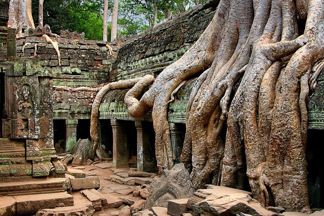 Angkor Wat Sunrise or Sunset Tour with Guide from Siem Reap - Ta Prohm, the tree-covered temple
