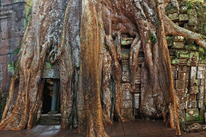 Angkor Wat Sunrise or Sunset Tour with Guide from Siem Reap - What to bring and how to handle the long day