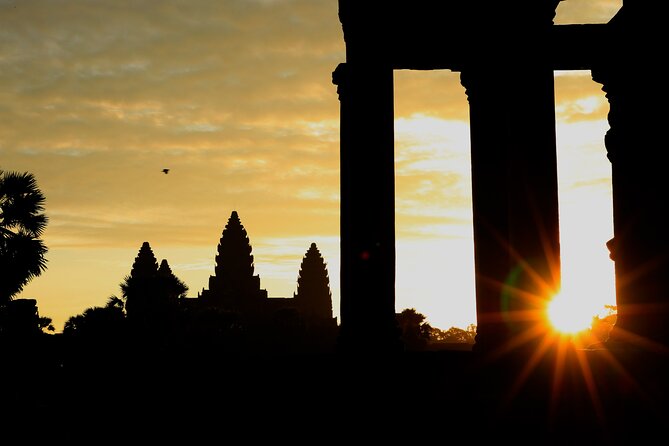 Angkor Wat Sunrise Private Full Day Tour - Ta Prohm and the appeal of ruins shaped by trees