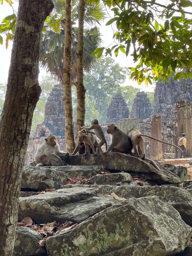 Angkor Wat Sunrise Private Full Day Tour - What the private format is really worth