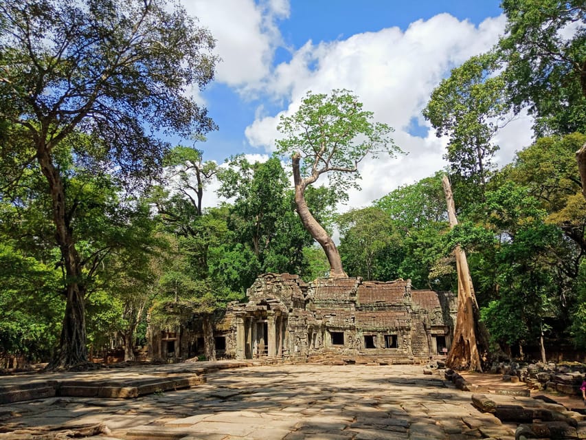 Angkor Wat Sunrise Shared Tours: Bayon-Ta Prohm-Banteay Srei - Clothing, walking, and practical limits