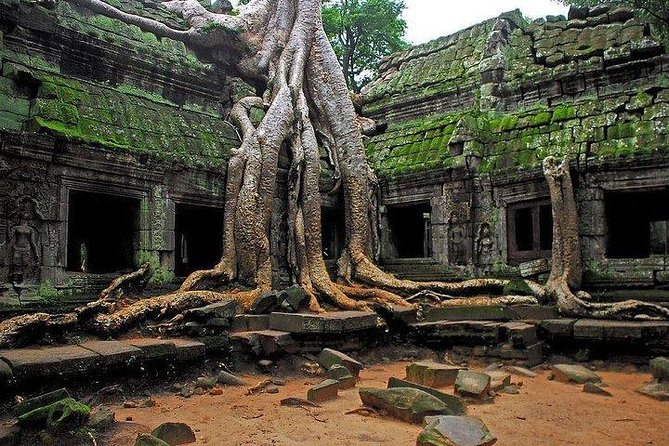 Angkor Wat Sunrise Tour - The Terrace of the Elephants and royal ceremony