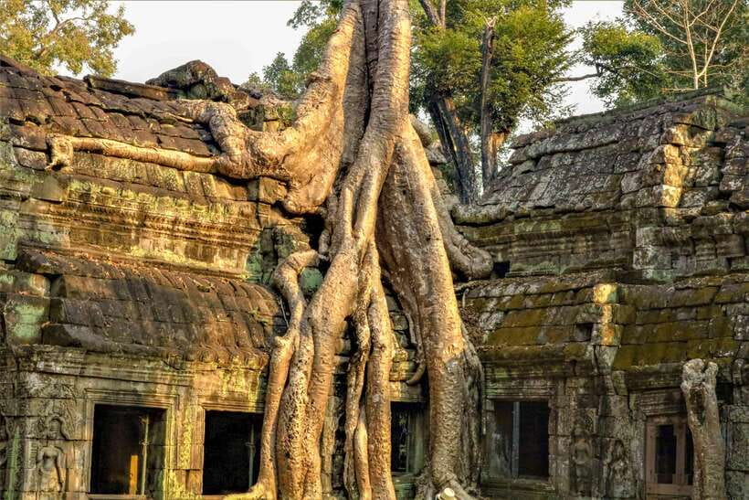Angkor Wat Sunset Tour - The guide is the heart of the experience