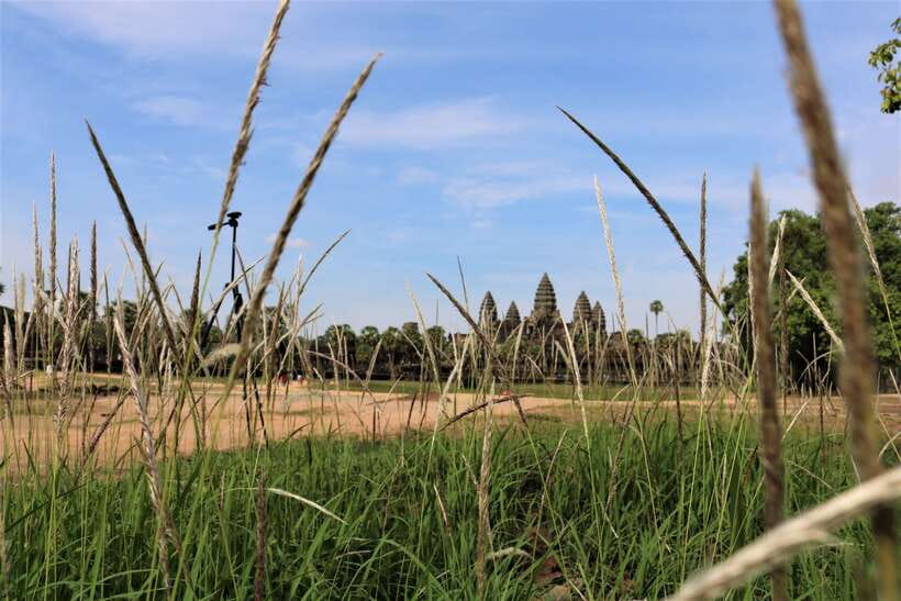 Angkor Wat: Tuk Tuk and Walking Tour - Ta Prohm and the forest-covered ruins