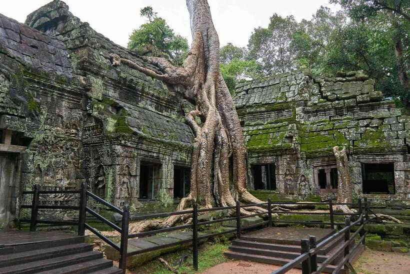 Angkor Zipline and Temple Tour with Sunset - Key points to know before you book