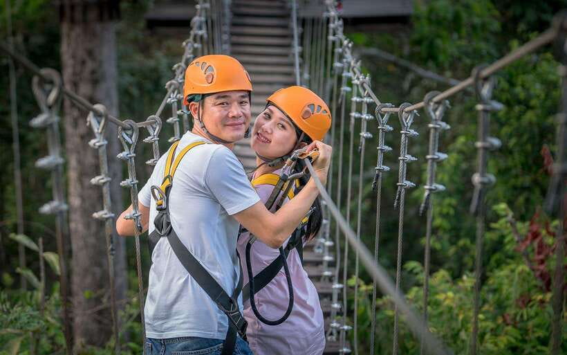 Angkor Zipline and Temple Tour with Sunset - Ta Prohm and the power of the jungle