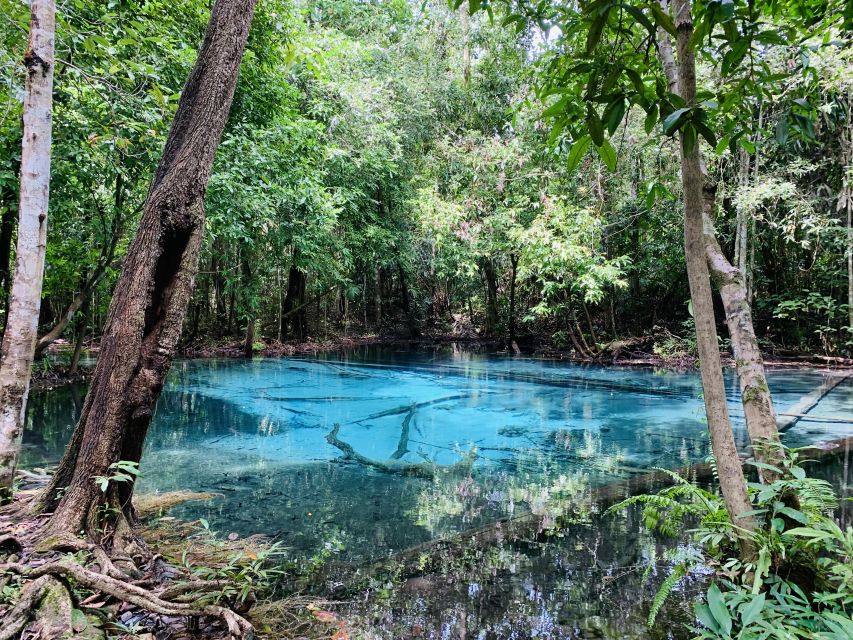 Ao Nang: Hot Spring, Emerald Pool & Tiger Cave Temple Tour - Who should book this day?