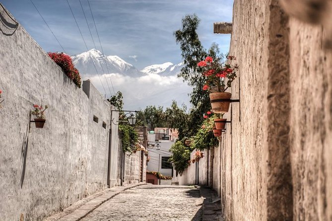 Arequipa, Historic and Colonial City and Santa Catalina Monastery - Guide quality, language, and pace