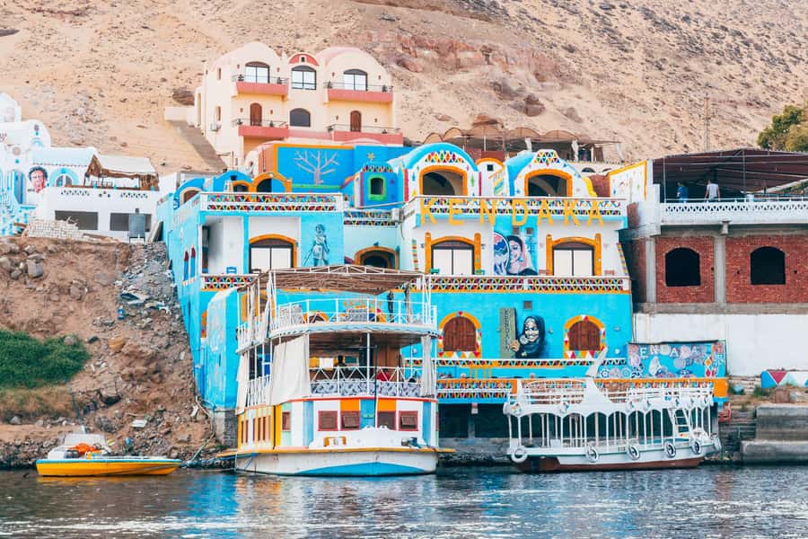 Aswan: Abu Simbel Temple & Nubian Village Private Day Tour - What the private format changes