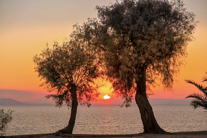 Athens Riviera: Poseidon Temple, Springs & Lake Vouliagmeni Tour - Is $113.18 a fair price?