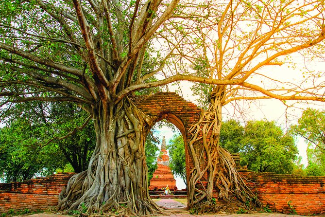 Ayutthaya Sunset Boat & UNESCO Temples: Multi-language private tour from Bangkok - Wat Chaiwatthanaram, the grand final temple