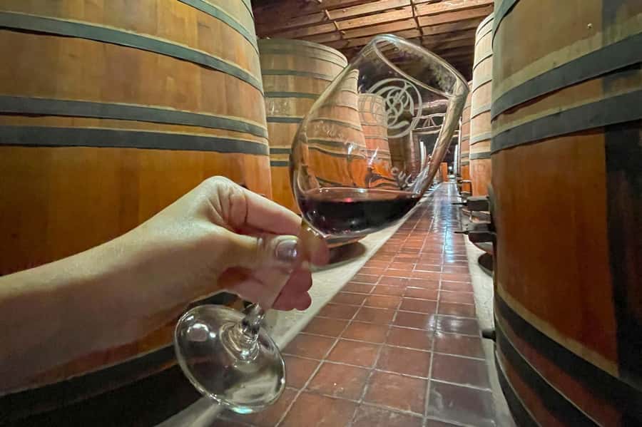 Bahá'i Temple and Cousiño Macul Vineyard - Is $96 a fair price?