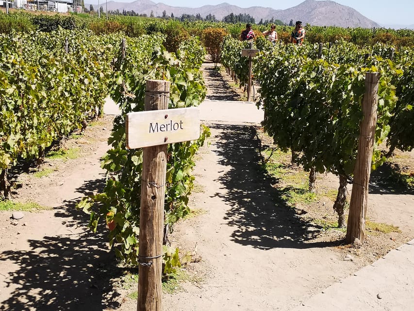 Bahá’í Temple, Winery and Lapis Lazuli + Private Transport - Cousiño Macul: Wine Inside Santiago