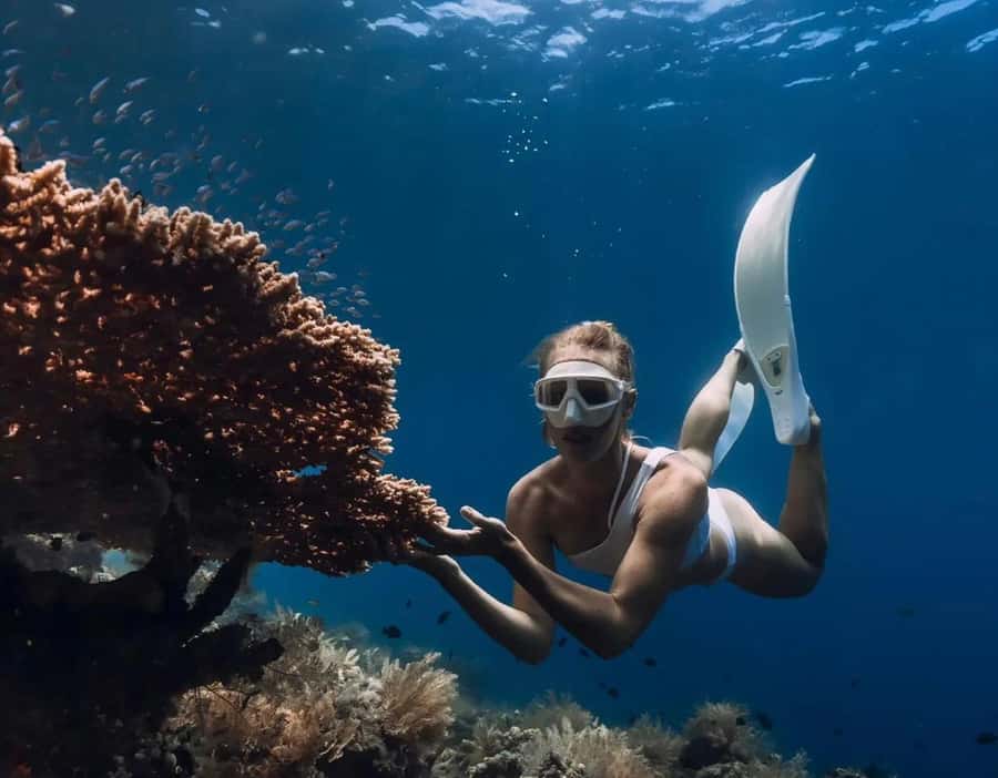 Bali/Amed: Underwater Temple Snorkeling Experience - What this Amed snorkeling trip actually includes