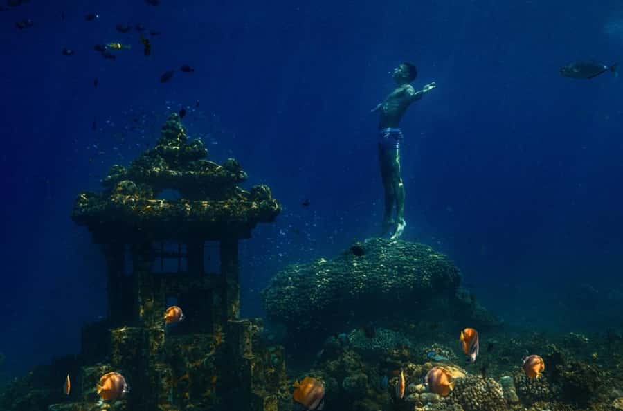 Bali/Amed: Underwater Temple Snorkeling Experience - Transfers, drivers, and the real time commitment