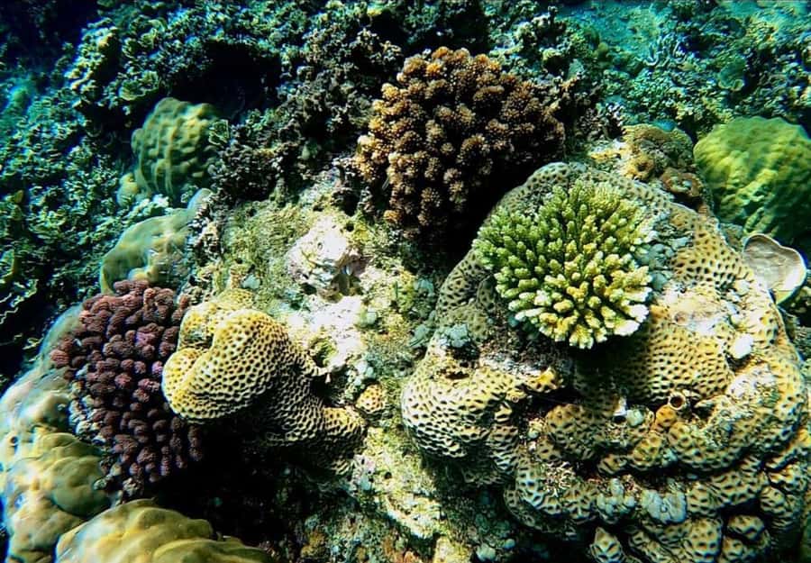 Bali/Amed: Underwater Temple Snorkeling Experience - Facilities are practical, not polished