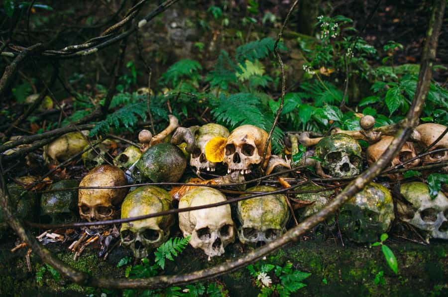 Bali/Batur: Mystical & Burial Rituals Tour with Kehen Temple - Key points to know before booking