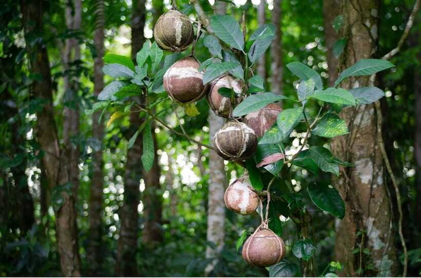 Bali/Batur: Mystical & Burial Rituals Tour with Kehen Temple - Kehen Temple and the steps of heaven