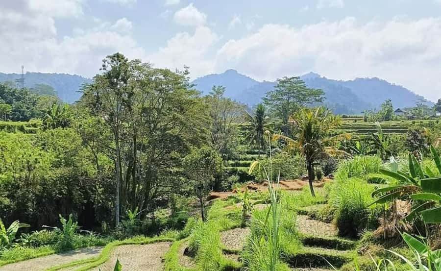 Bali: Besakih Temple and Sidemen Tour - Why this route works for a full day in East Bali