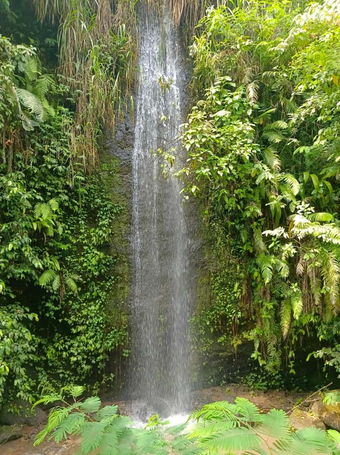 Bali : Day Trip to Besakih Temple & 2 Hidden Waterfalls - Why Besakih is worth the long ride