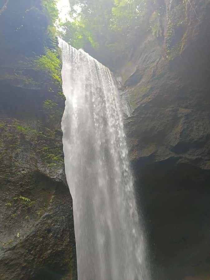 Bali : Day Trip to Besakih Temple & 2 Hidden Waterfalls - The private car makes a long Bali day easier