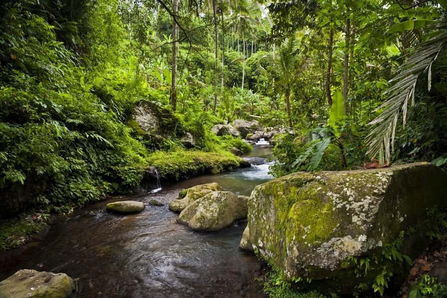 Bali: Gunung Kawi Temple & Pakerisan UNESCO Guided Tour - Temple etiquette and what to wear