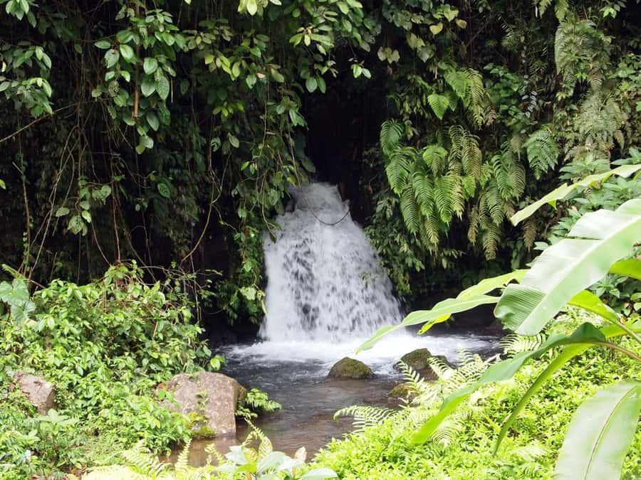 Bali: Gunung Kawi Temple & Pakerisan UNESCO Guided Tour - Choosing your meeting point and transport