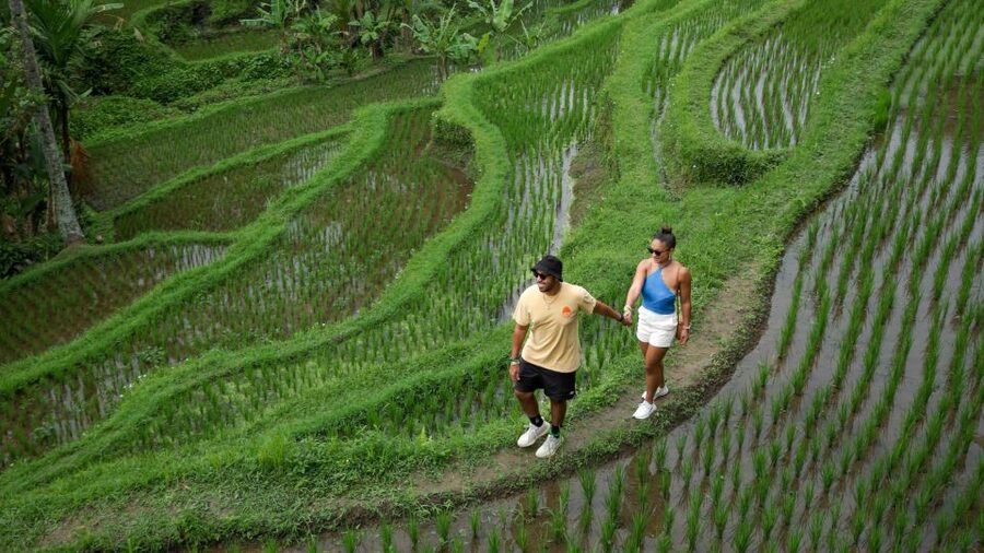 Bali: Heaven Swing, Beratan temple, Rice Terrace - Key points before you book