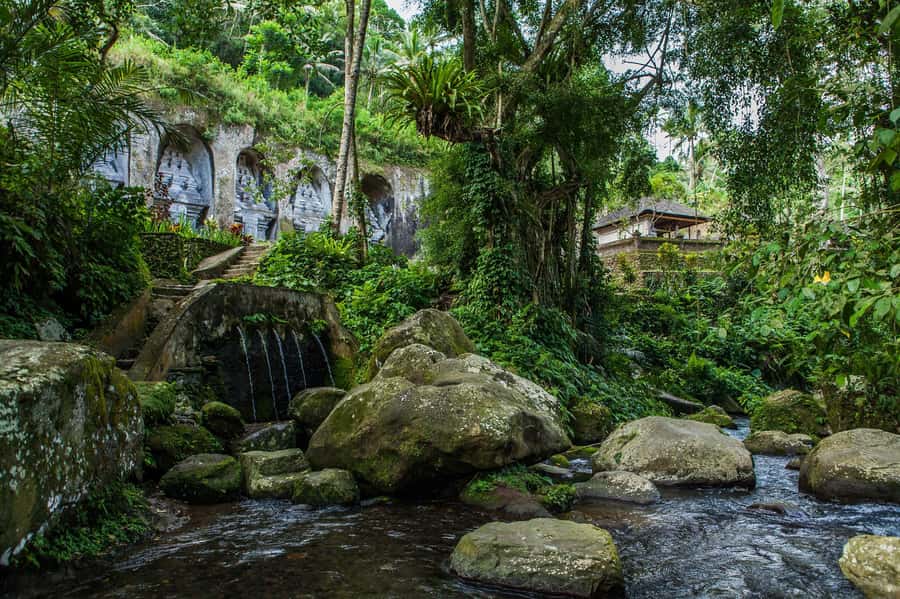 Bali: Hidden Canyon, Waterfall & Temples Small Group Tour - Who should book this tour?