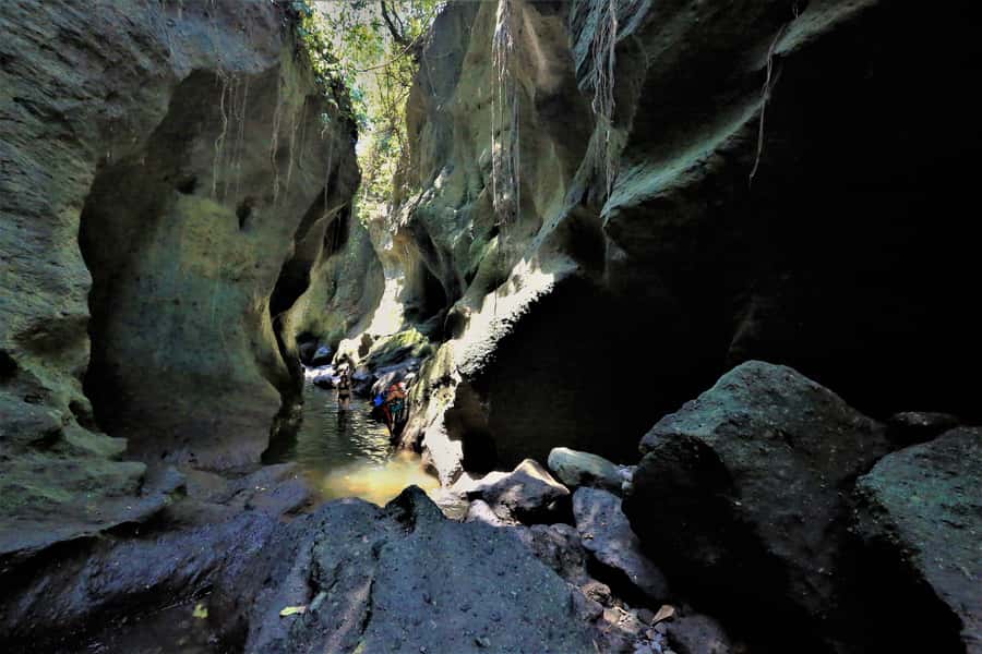 Bali: Hidden Canyon, Waterfall & Temples Small Group Tour - Goa Gajah, the Elephant Cave with roots and carvings