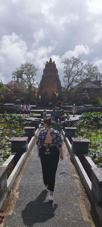 Bali : Highlight of Ubud Culture, Temple and Batur Volcano - Tegalalang shows the work behind the famous terraces