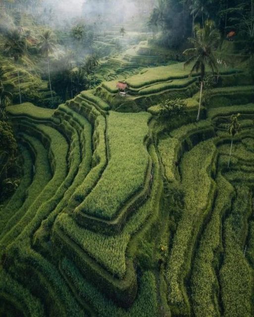 Bali : Highlight of Ubud Culture, Temple and Batur Volcano - Kintamani and the Batur volcano view