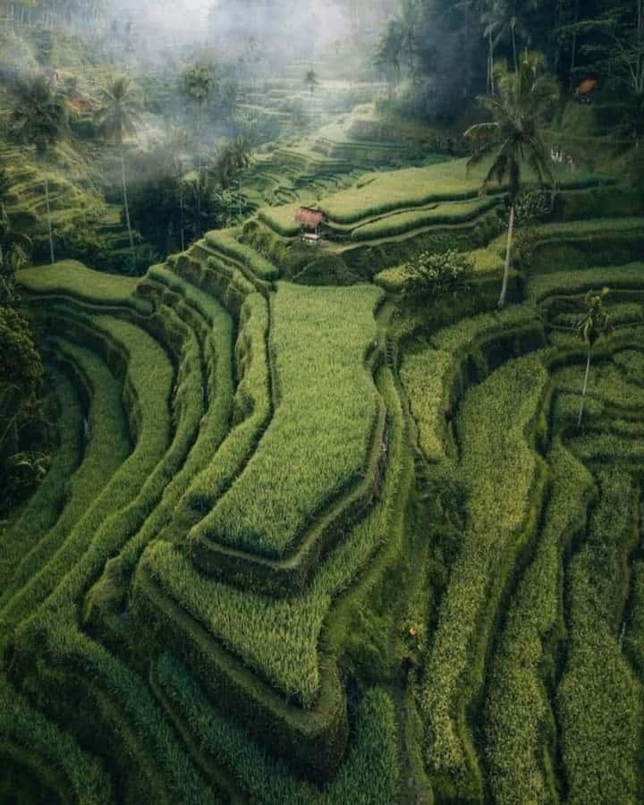 Bali : Highlight of Ubud Culture, Temple and Batur Volcano - Ulu Petanu Waterfall adds a quieter final stop