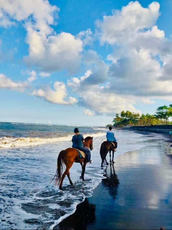 Bali: Horseback Tour Through Saba Beach and Local Temples. - Meeting your horse and getting comfortable