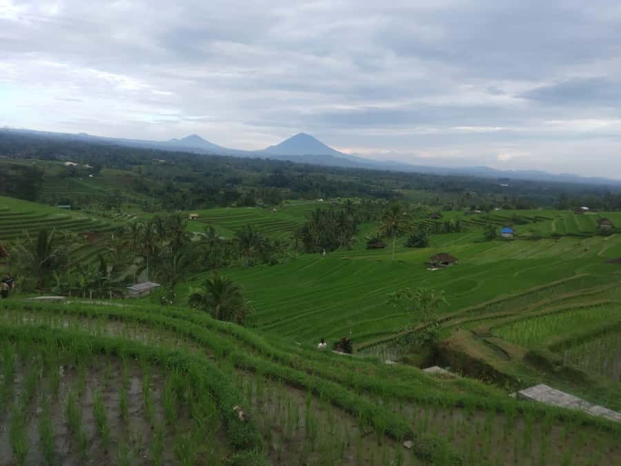 Bali in 1 Day : Iconic temples -UNESCO Sight - All inclusive - Lake Beratan: time to slow the camera down