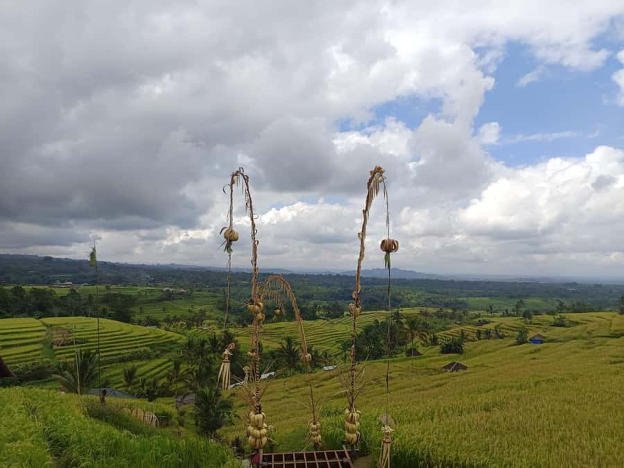 Bali in 1 Day : Iconic temples -UNESCO Sight - All inclusive - The coffee plantation stop, useful but not essential