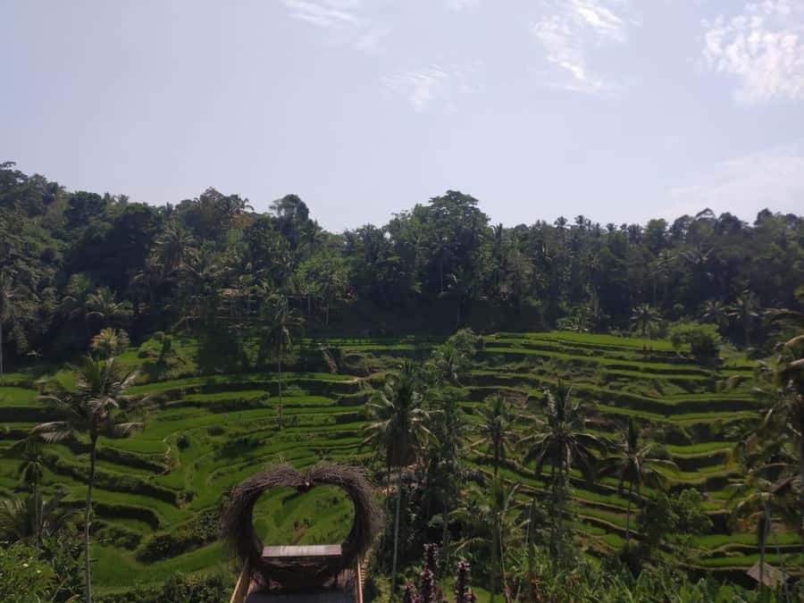 Bali in 1 Day : Iconic temples -UNESCO Sight - All inclusive - What the driver-guide adds