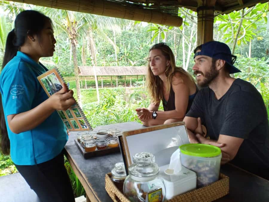 Bali: Kintamani Cafe, Waterfall, Temple and Cretya Ubud Tour - Who should book this Bali day tour?