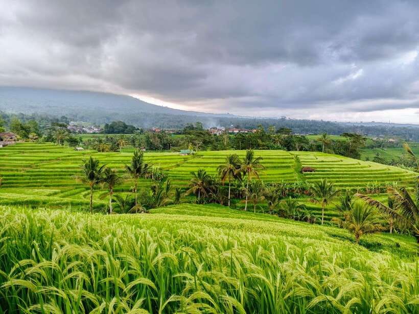 Bali: Lake Temple, Jatiluwih Rice Terrace & Waterfall Tour - Why this route works for a first Bali day trip