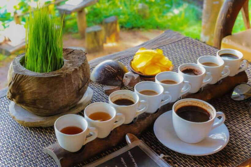 Bali: Lempuyang Temple, Tirta Gangga, and Temesi Waterfall … - Coffee plantation tasting, with room for flexibility