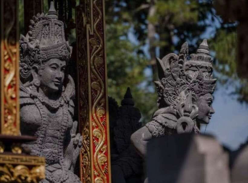 Bali: monkey forest, rice terrace, water temple, waterfall - Is $25 good value for this full-day route?