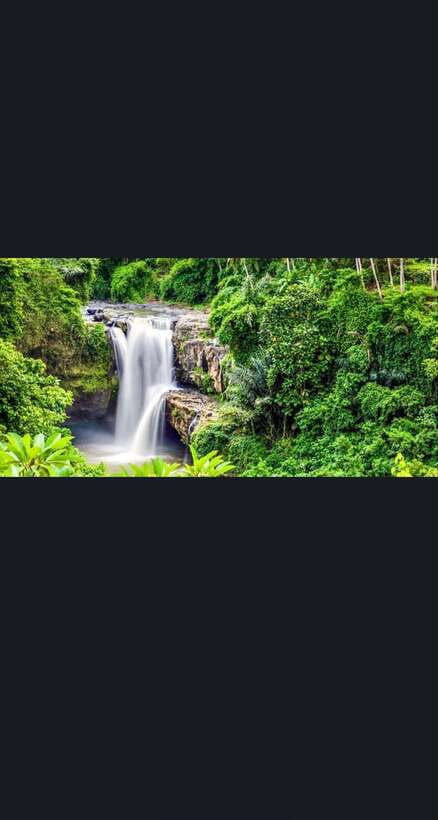 Bali: monkey forest, rice terrace, water temple, waterfall - Tirta Empul: the day’s most meaningful cultural stop