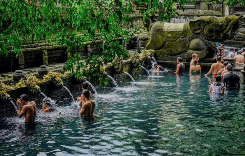 Bali: monkey forest, rice terrace, water temple, waterfall - Balinese coffee and tea: a brief taste of local tradition