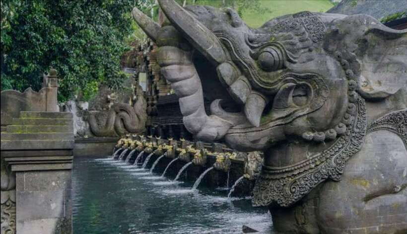 Bali: monkey forest, rice terrace, water temple, waterfall - Guides, transport, and the private-group advantage