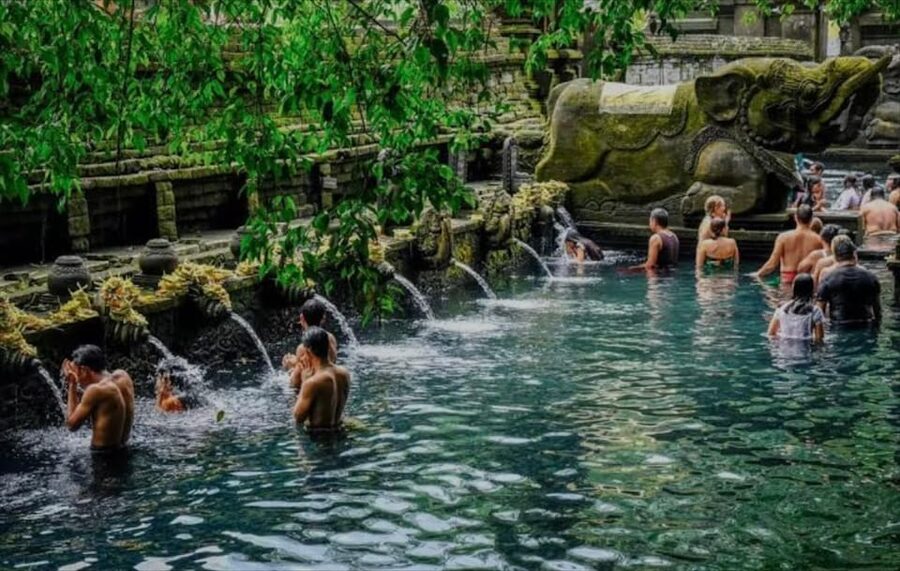 Bali: monkey forest, rice terrace, water temple, waterfall - What to bring and how to prepare