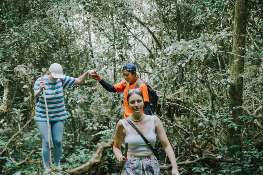 Bali: Munduk Waterfalls Trek, Twin Lakes and Temple Tour - Walking through the Munduk rainforest