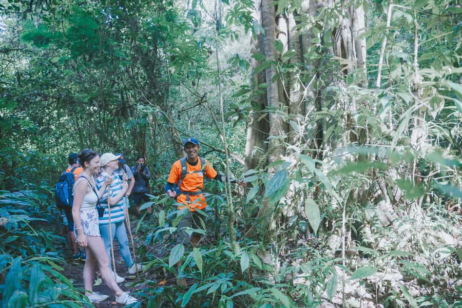 Bali: Munduk Waterfalls Trek, Twin Lakes and Temple Tour - Tamblingan Lake by traditional wooden canoe