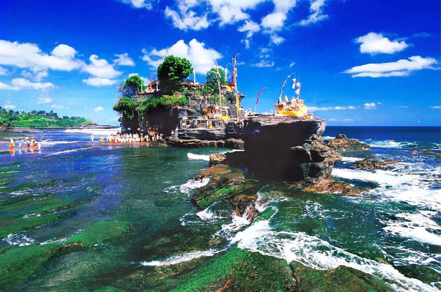 Bali: Royal Temple, Bedugul, and Tanah Lot Private Tour - Who will enjoy this tour most