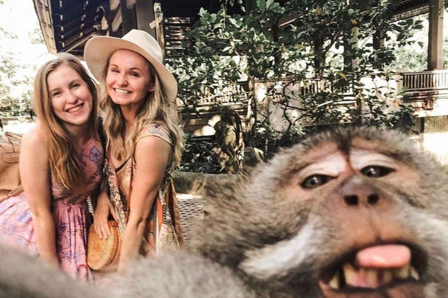 BALI :Sanctuary Monkey forest, rice terrace Water temple - Key points at a glance