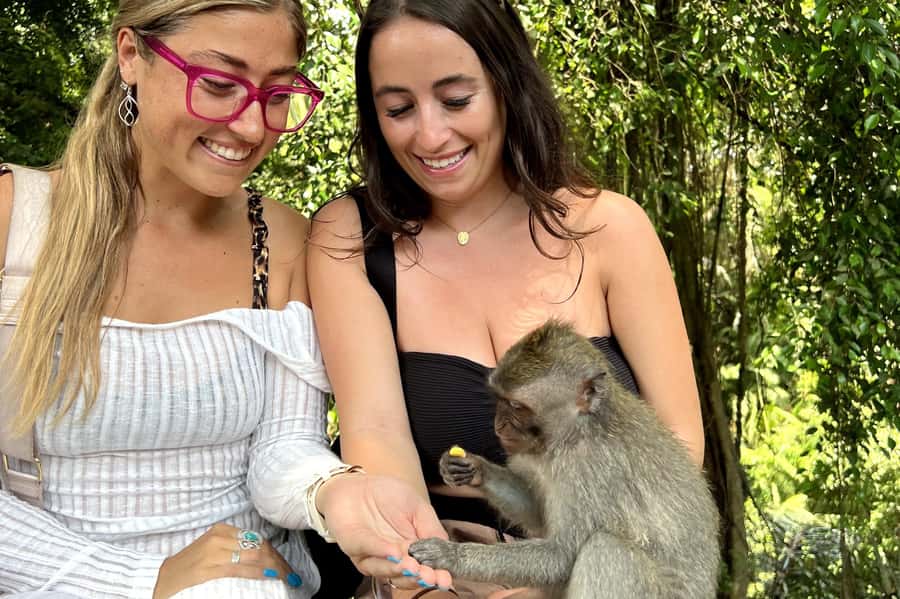 BALI :Sanctuary Monkey forest, rice terrace Water temple - A full Ubud day without arranging five separate visits